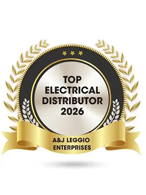 Top Electrical Distributor 2026